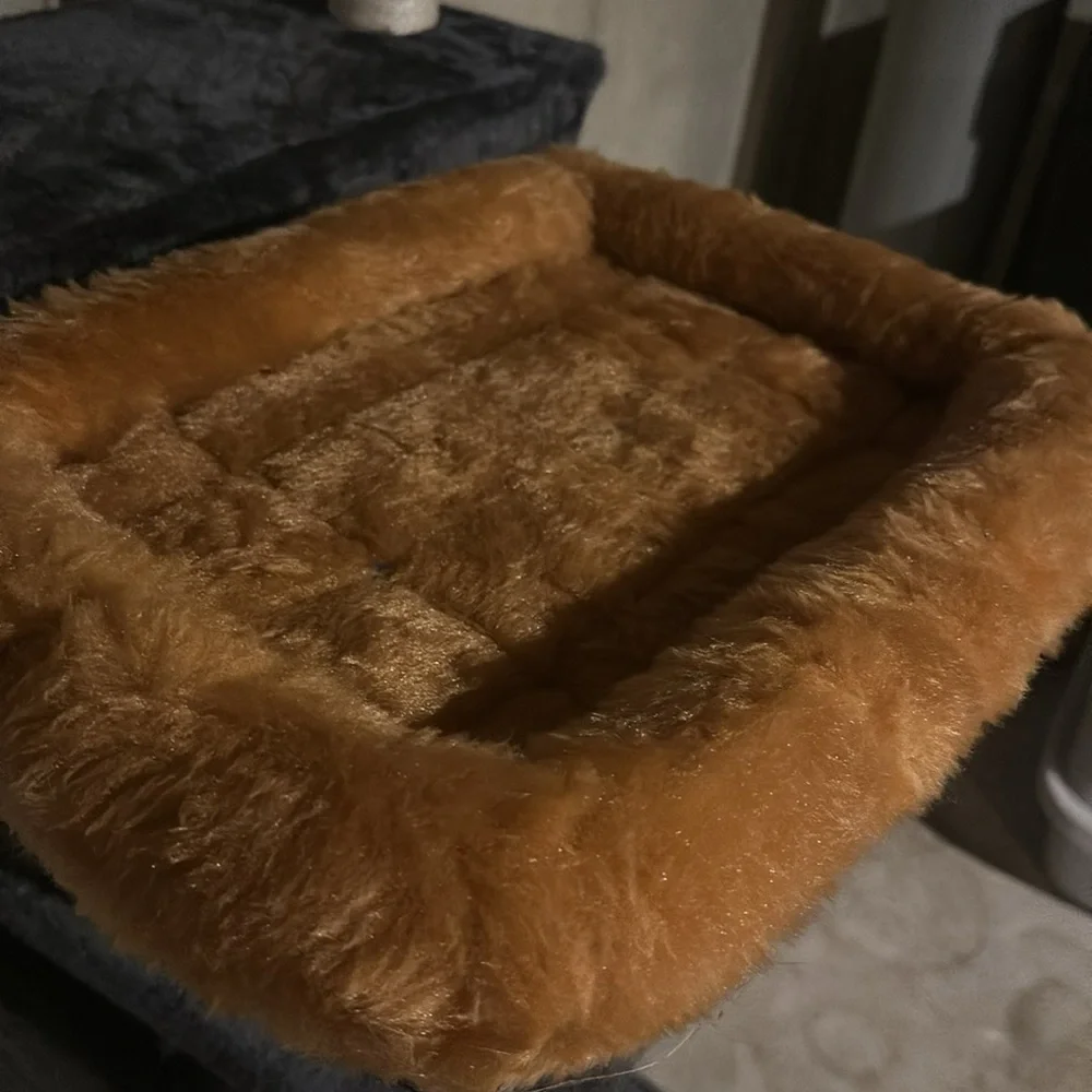 Small cat bed